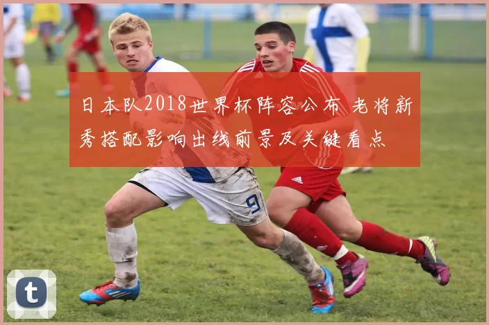 日本队2018世界杯阵容公布 老将新秀搭配影响出线前景及关键看点