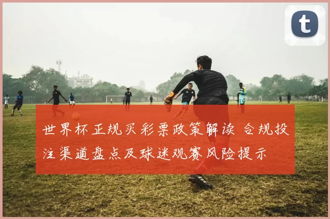 世界杯正规买彩票政策解读 合规投注渠道盘点及球迷观赛风险提示