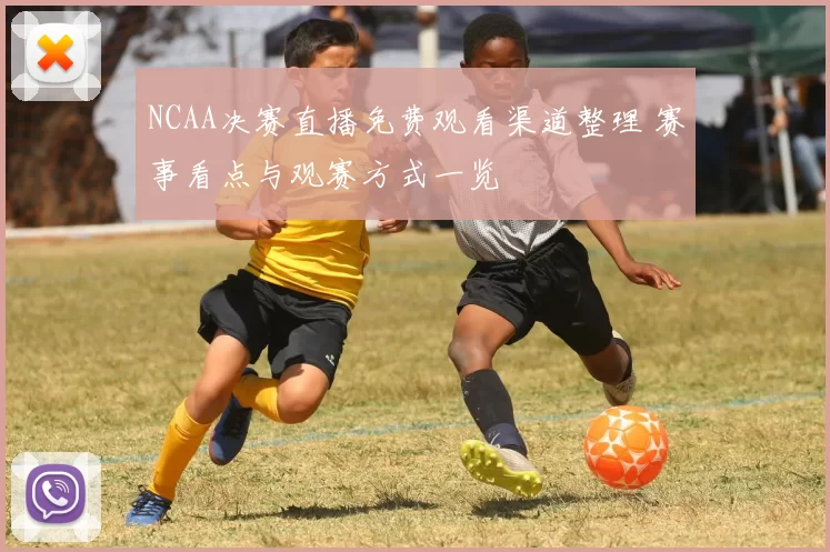 NCAA决赛直播免费观看渠道整理 赛事看点与观赛方式一览