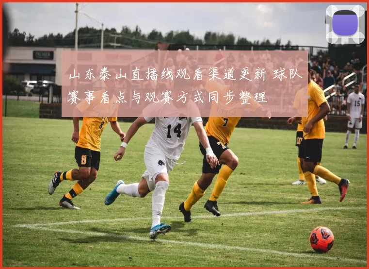 山东泰山直播线观看渠道更新 球队赛事看点与观赛方式同步整理