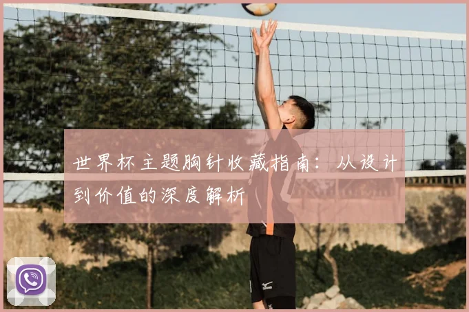 世界杯主题胸针收藏指南:从设计到价值的深度解析