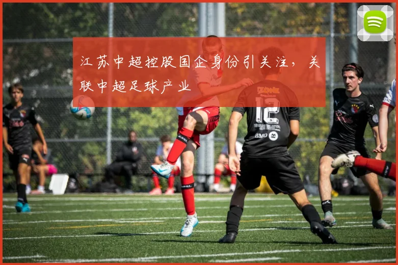 江苏中超控股国企身份引关注,关联中超足球产业