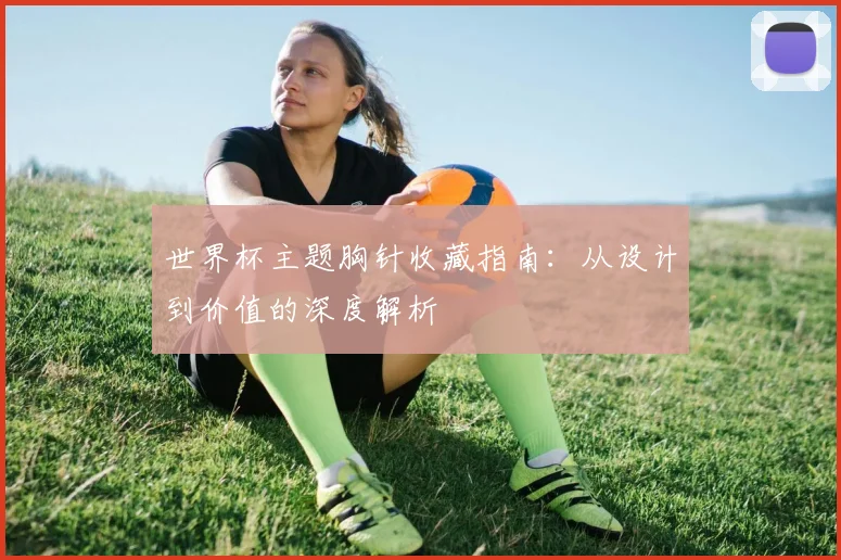 世界杯主题胸针收藏指南:从设计到价值的深度解析