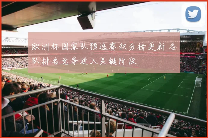 欧洲杯国家队预选赛积分榜更新 各队排名竞争进入关键阶段