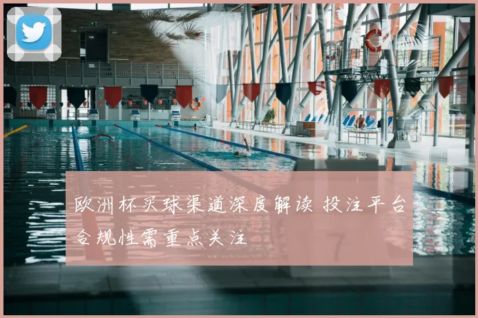 欧洲杯买球渠道深度解读 投注平台合规性需重点关注