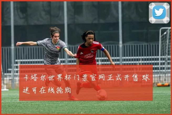 卡塔尔世界杯门票官网正式开售 球迷可在线抢购