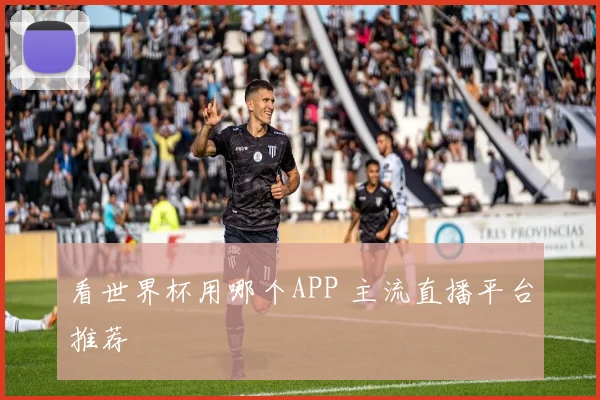 看世界杯用哪个APP 主流直播平台推荐